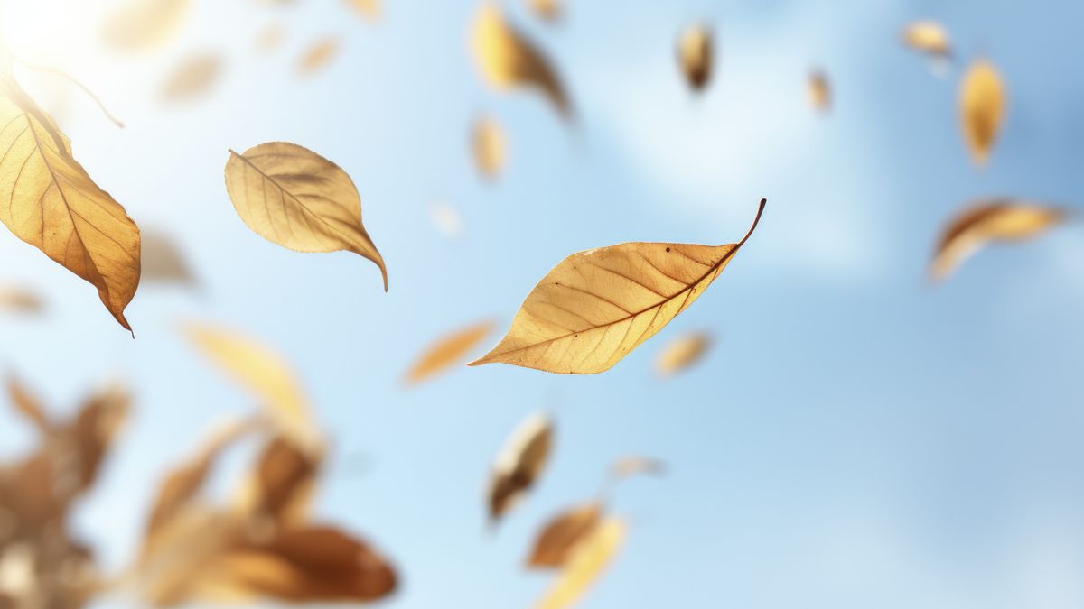 Cum va fi vremea weekendul acesta? 