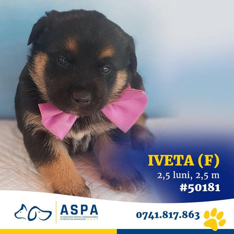 Descoperă ce evenimente au loc în perioada 9-10 noiembrie 