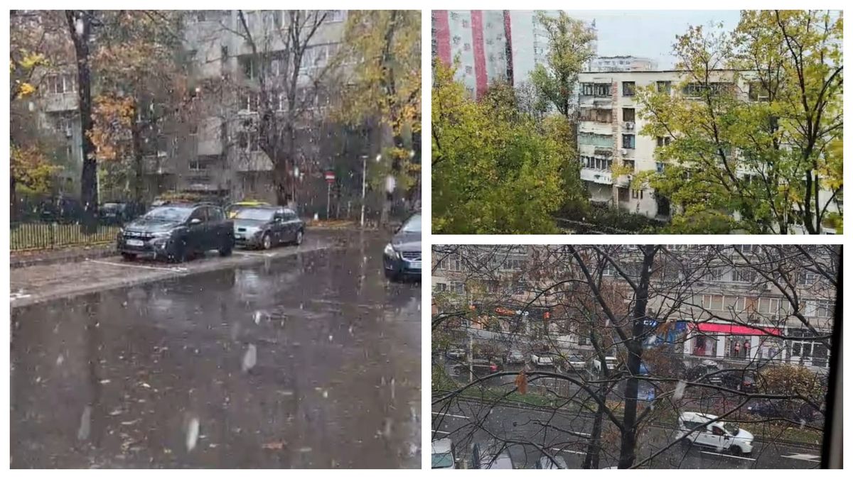 A nins pentru prima dată în București 