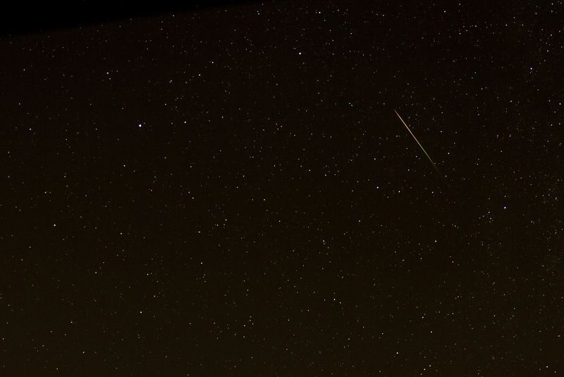 Pe ce dată apar Leonidele pe cerul nopții? 