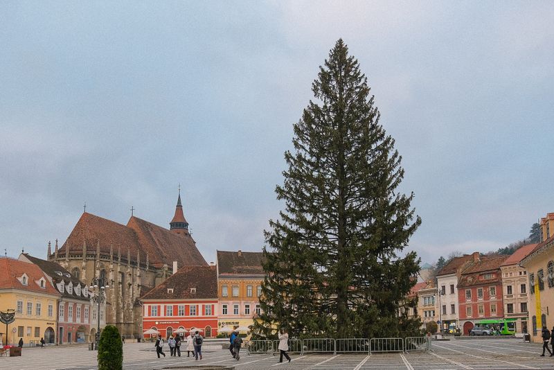 Orașul cu cel mai înalt brad de Crăciun împodobit din România 