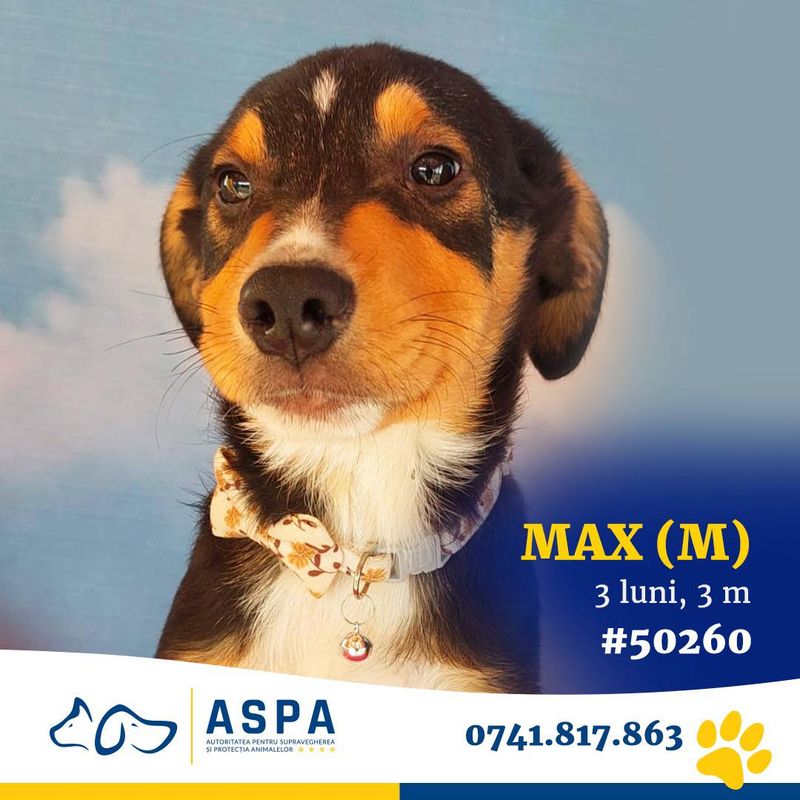 Principalele evenimente din weekendul 23-24 noiembrie 