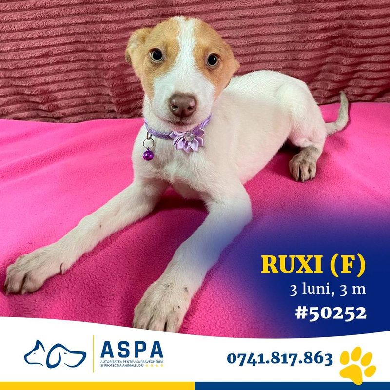 La ce evenimente poți participa în weekend?