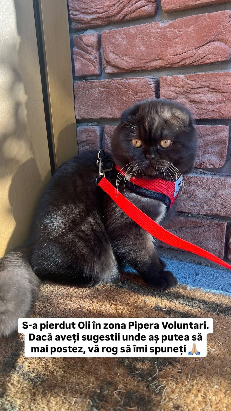 Apelul emoționant al Mirei