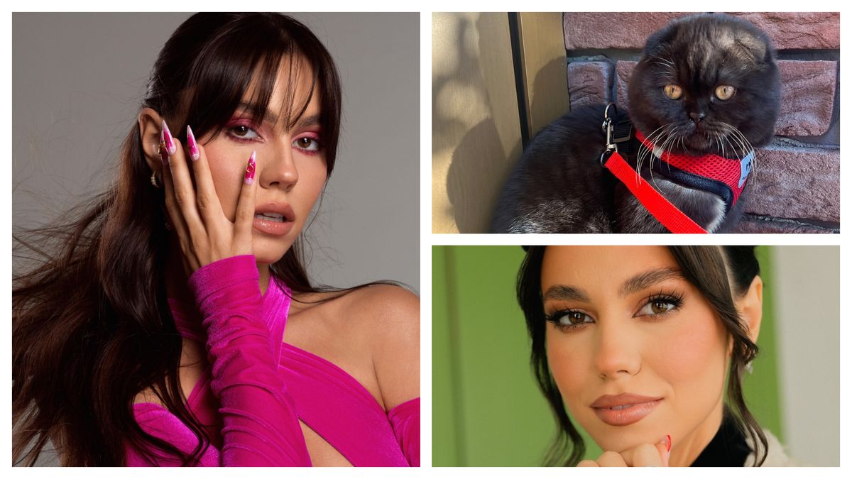 Mira, disperată după ce și-a pierdut pisica