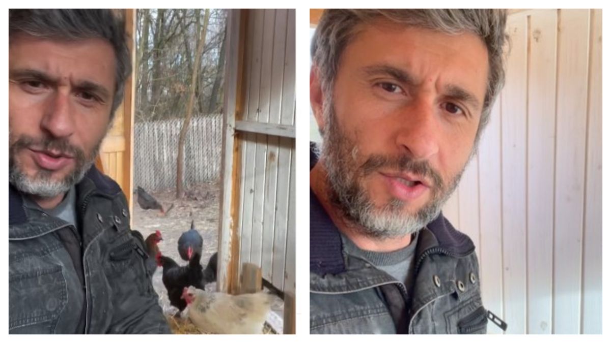 Dragoș Bucur descoperă surpriza din coteț