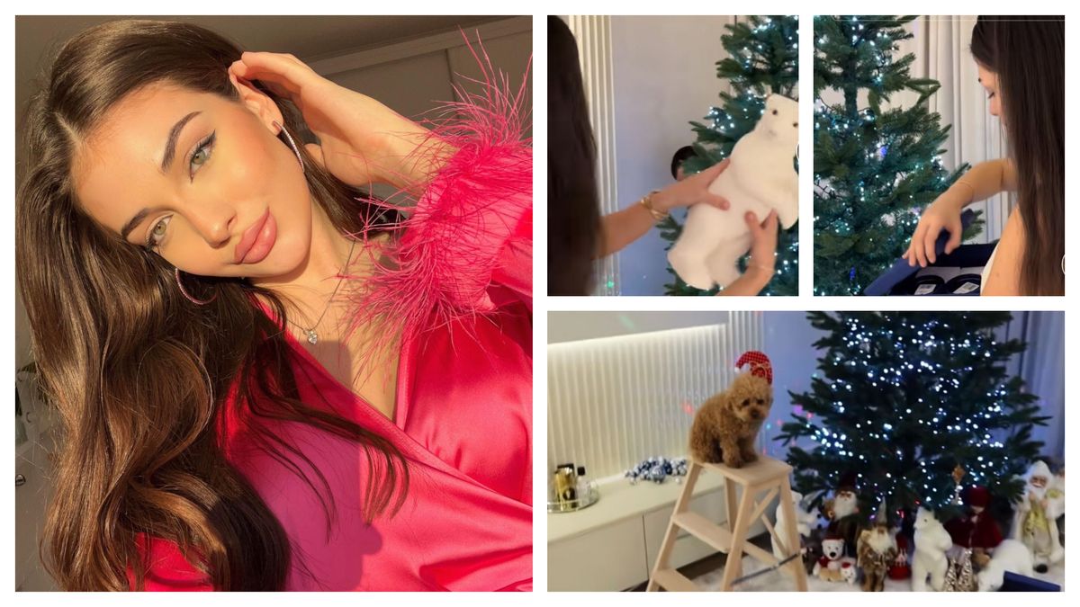 Cum și-a decorat Andreea Bostăncă bradul