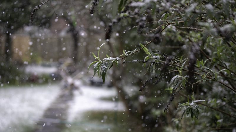 Meteorologii anunță cod portocaliu de viscol! Care sunt zonele vizate?