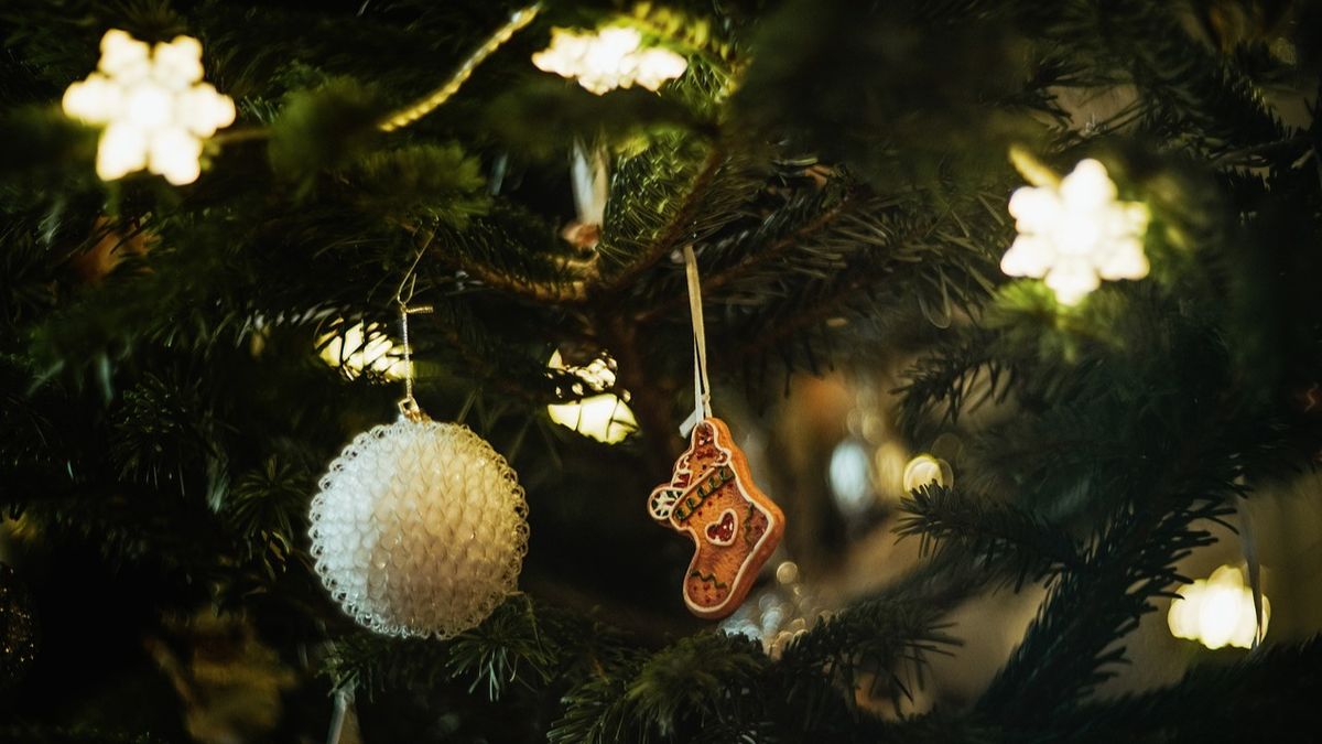 Ce colinde poți asculta în 2024? 