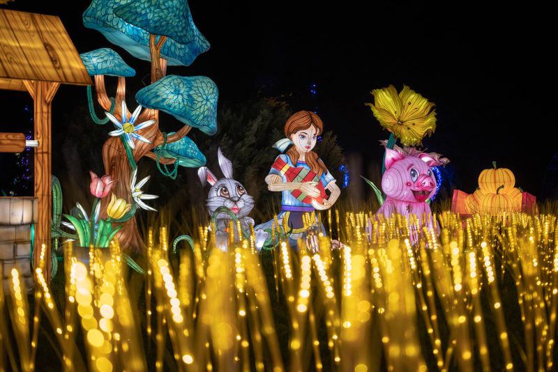 Ce evenimente au loc în weekend? 