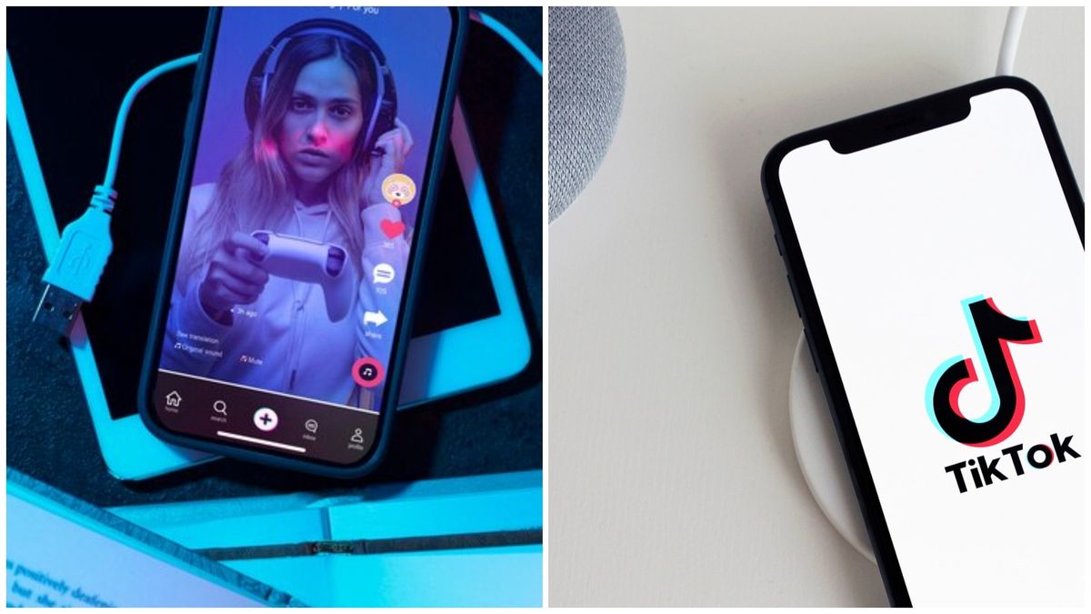 TikTok, interzis timp de un an