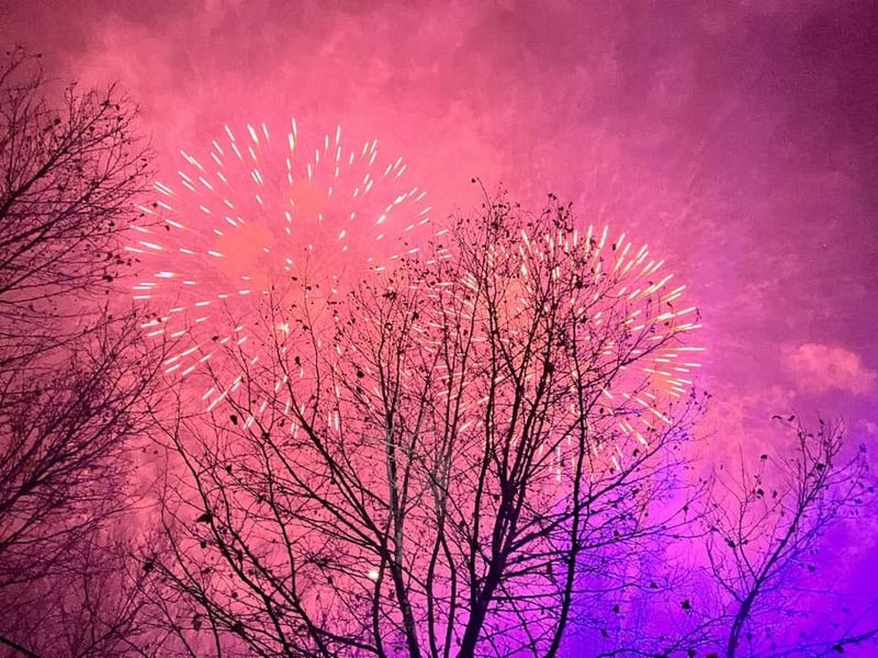 Ce trebuie să știi despre petrecerea de Revelion din parcul IOR? 