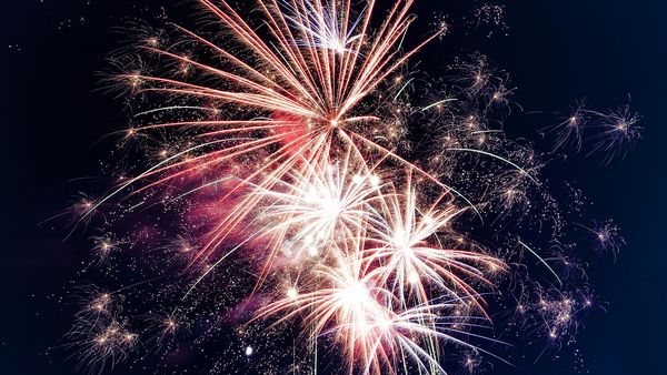 Clujul, primul oraș din România care renunță la artificii și petarde în noaptea de Revelion pentru a proteja animalele și mediul