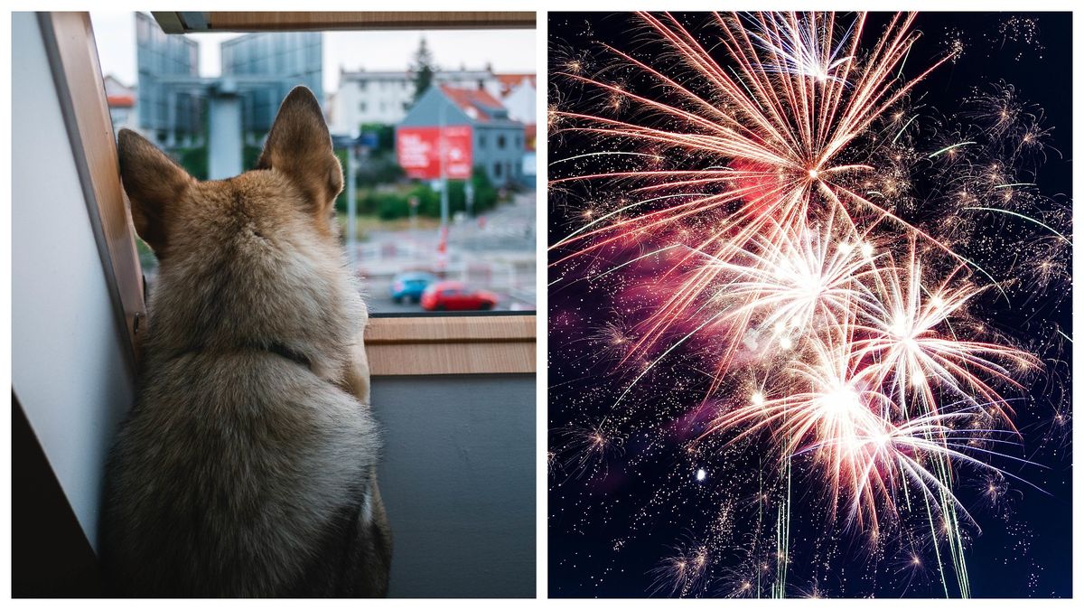 Anul acesta, Clujul renunță la artificii 