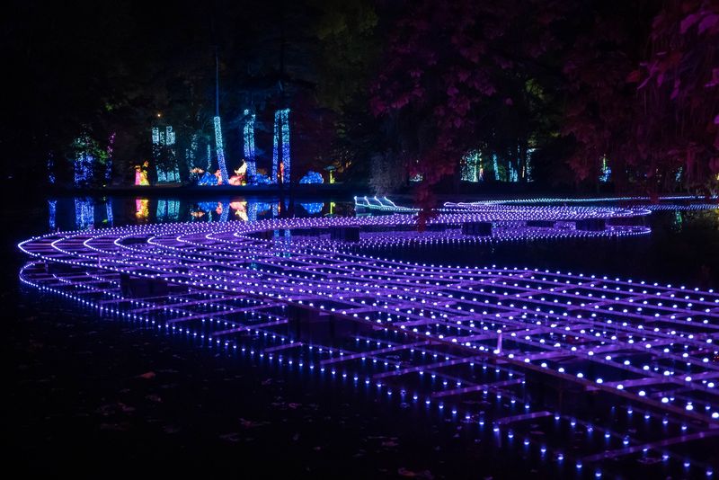 Ce expoziții au loc în perioada 11 -12 ianuarie 2025? 