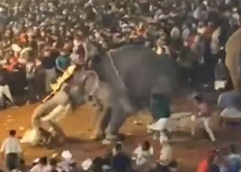 Scene șocante la un festival din India