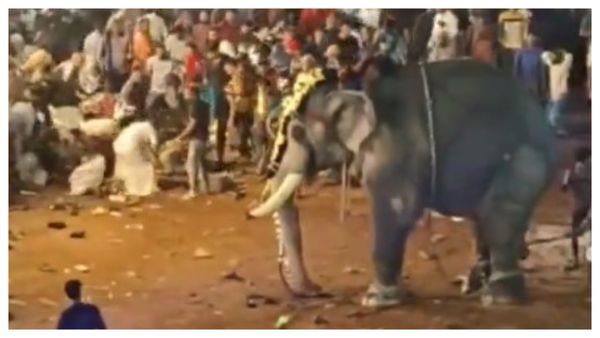Momentul în care un elefant atacă mulțimea în timpul unui festival din India. Zeci de persoane au fost rănite VIDEO