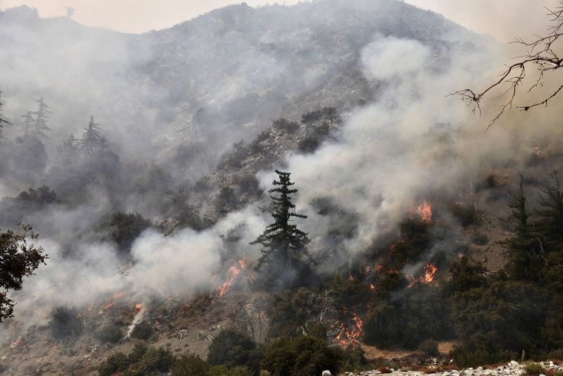 Incendiile mistuitoare din Los Angeles, văzute prin ochii unei actrițe românce