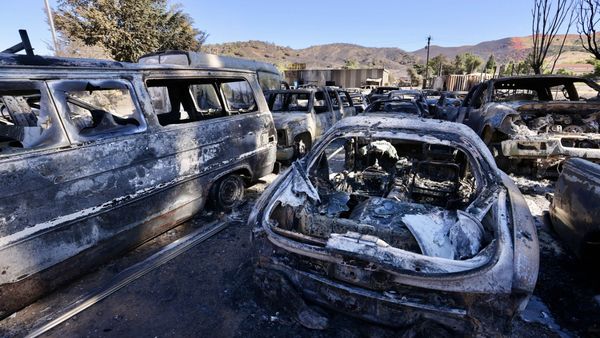 Mărturiile actriței de origine rom&acirc;nă, Daniela Trica, din infernul incendiilor din California: &rdquo;Este o teroare numită deja &laquo;Apocalipsa LA-ului&raquo;"
