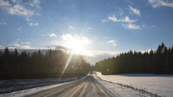 Meteorologii anunță temperaturi neobișnuit de ridicate până la jumătatea lunii februarie. Cum va fi vremea în București și în țară?