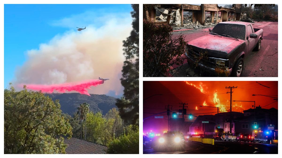 Cum ajută pudra roz să încetinească flăcările 