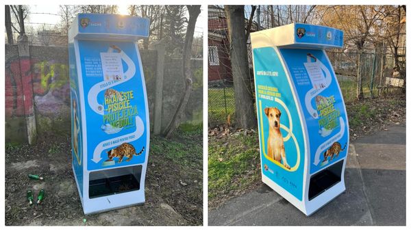 Dispozitive pentru hrănirea pisicilor fără stăp&acirc;n &icirc;n schimbul sticlelor reciclabile, &icirc;n parcurile din București! Cum funcționează acestea?