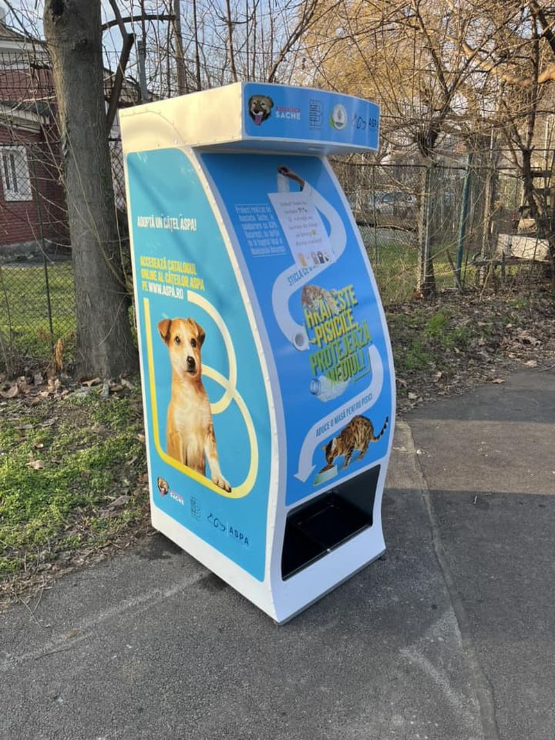 Cum arată dispozitivele de hrănire a pisicilor fără stăpân?