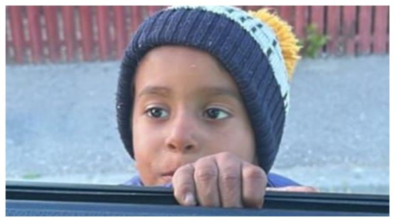 Rezultatele necropsiei &icirc;n cazul copilului de 4 ani ucis de c&acirc;ini! Care ar fi fost, de fapt, cauza morții băiețelului