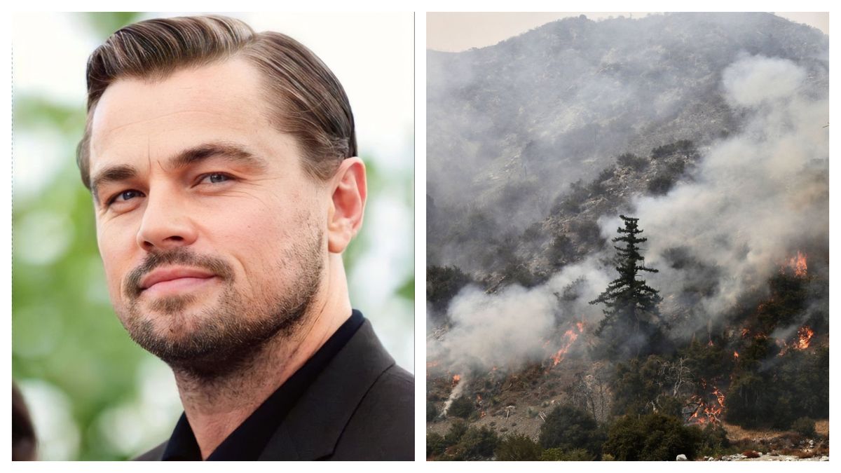 Leonardo DiCaprio fuge de incendii cu avionul privat