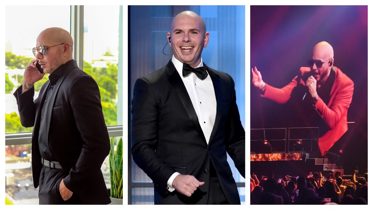 De ce Pitbull nu folosește smartphone