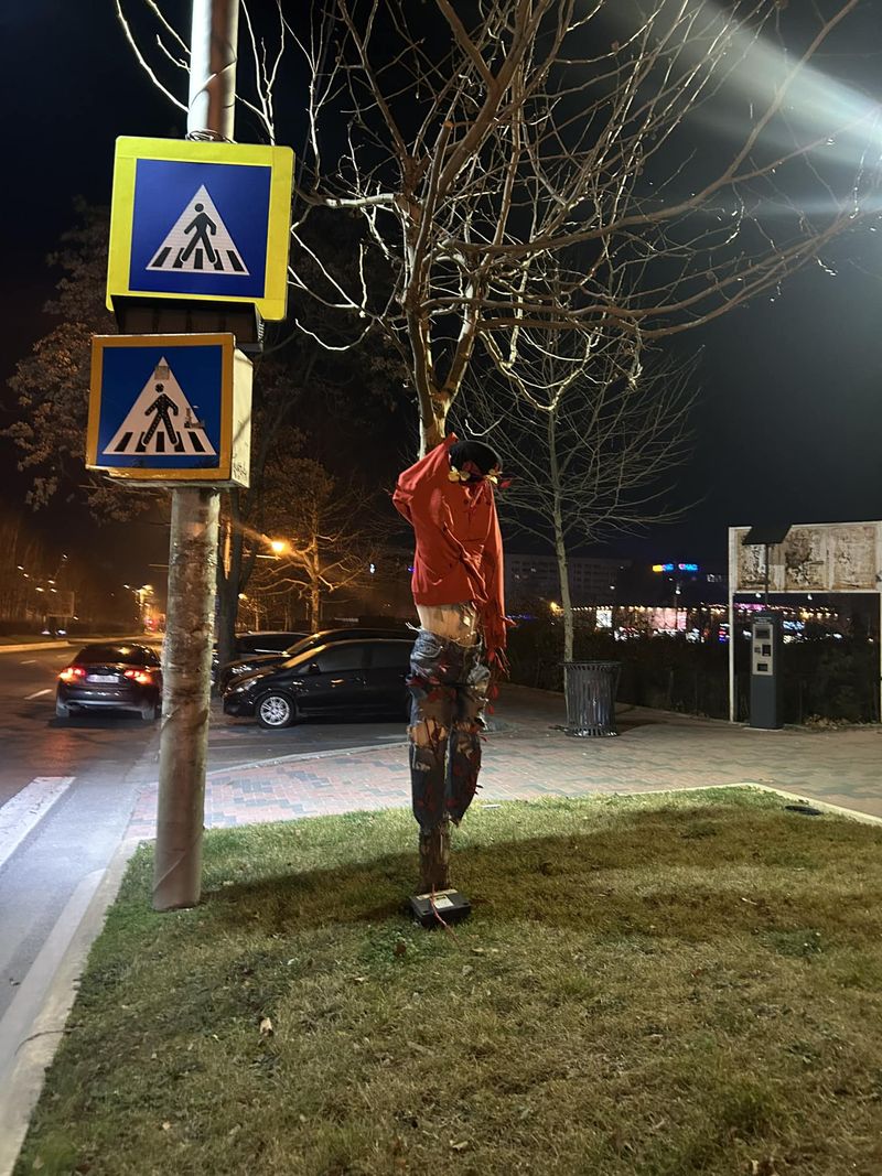 Imagini cu sperietoarea din Sectorul e