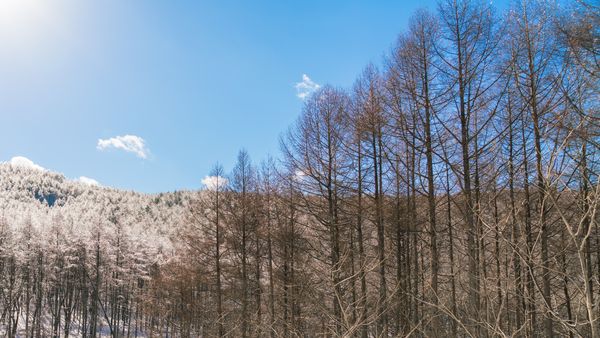 Vremea pe 24-26 ianuarie 2025 în minivacanța de Ziua Unirii Principatelor Române