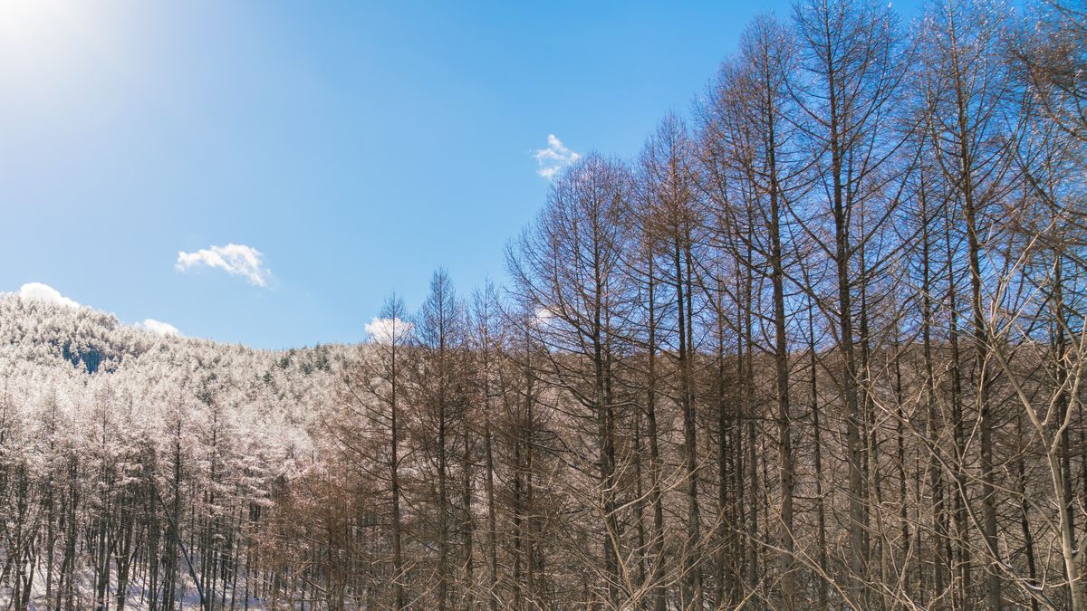 Prognoza meteo pentru minivacanța de Ziua Unirii Principatelor Române 