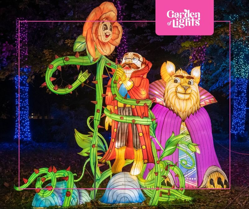 Evenimentele organizate în perioada 24-26 ianuarie 2025 