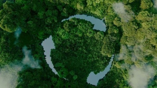 Cum Pantone redefinește culorile pentru o planetă mai sustenabilă