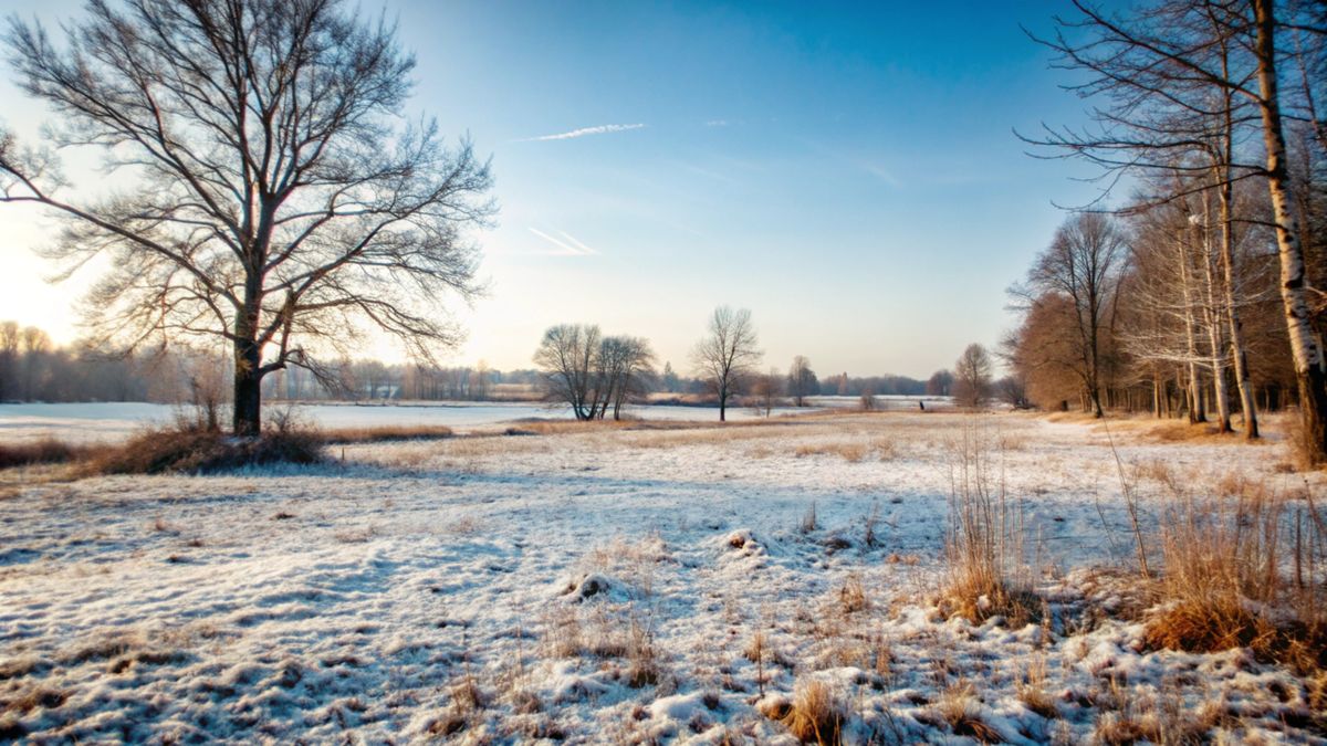 Cum va fi vremea în februarie 2025? 