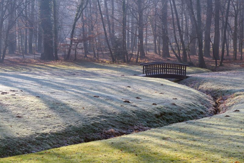 Prognoza meteo pentru februarie 2025 