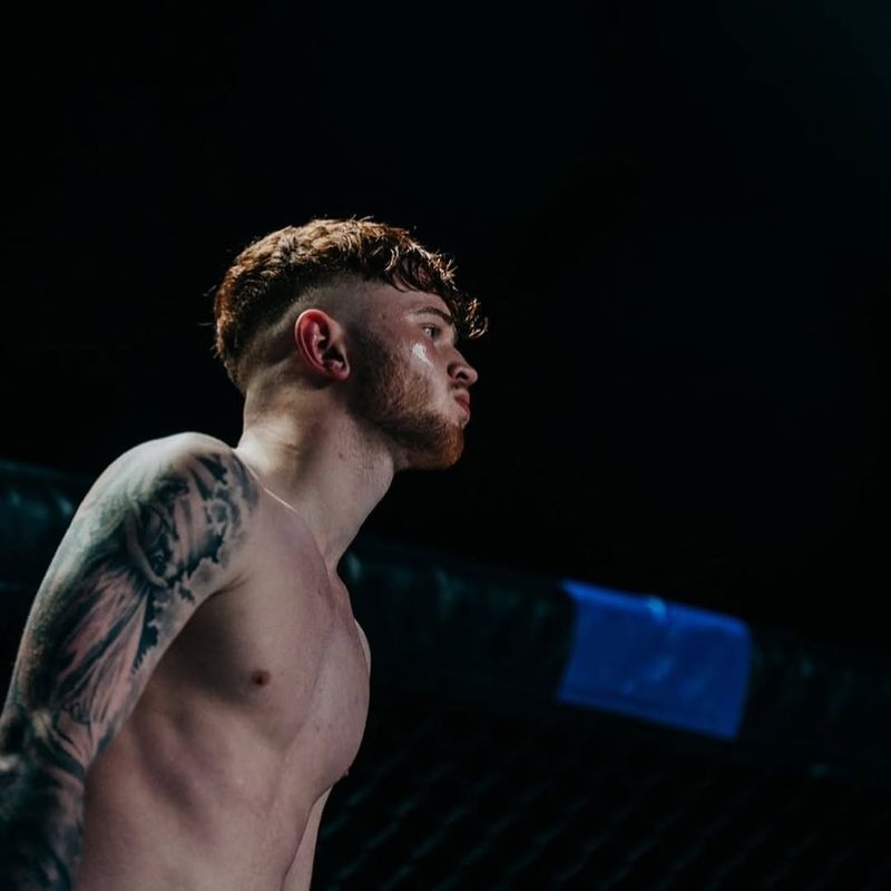 Taylor swift luptatorul