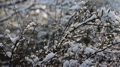 Avertisment ANM! Care sunt zonele cele mai afectate de vânt puternic, ninsori și ger