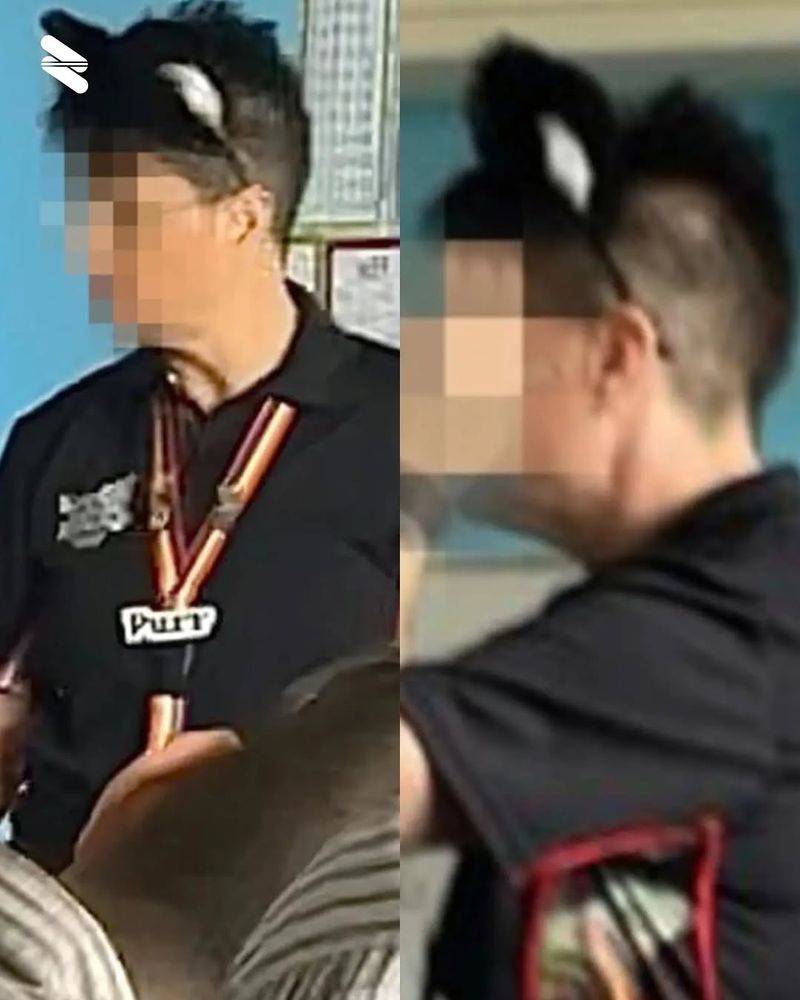 Ea este profesoara care se crede pisică