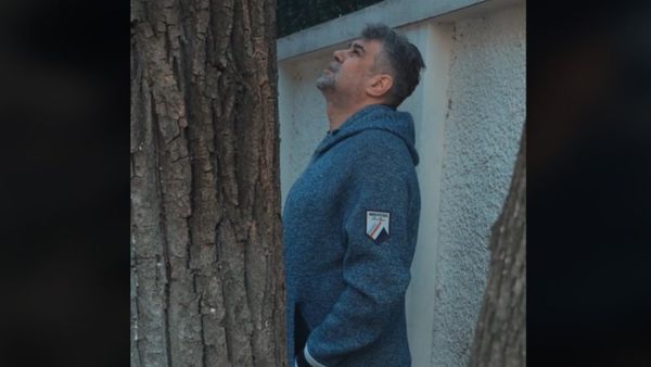 C&acirc;t costă hanoracul purtat de Marcel Ciolacu &icirc;n video-ul viral &icirc;n care &icirc;și dă pisica jos din copac