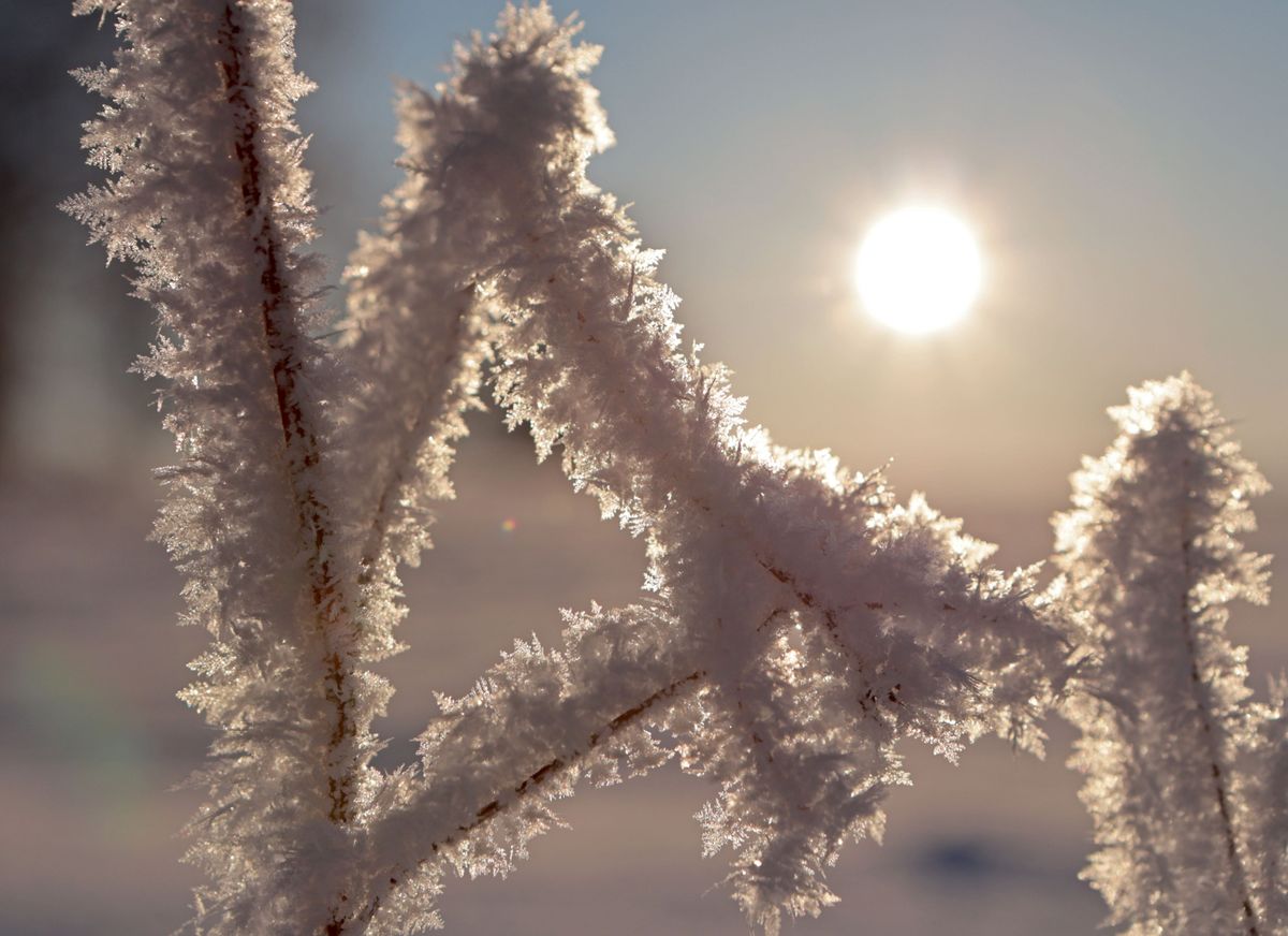 ger cu temperaturi sub limita normala