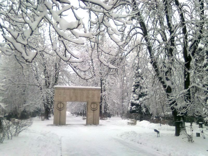 Care sunt cele mai cunoscute opere ale lui Constantin Brâncuși?
