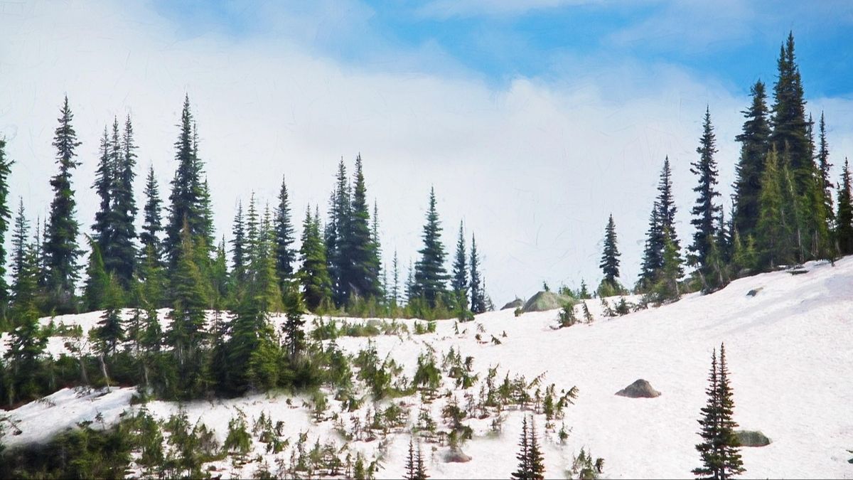 Ce tradiții se respectă în Săptămâna Albă? 