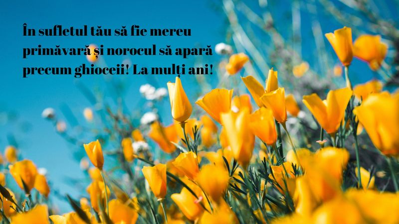 Descoperă aici cele mai frumoase felicitări de Mărțișor 