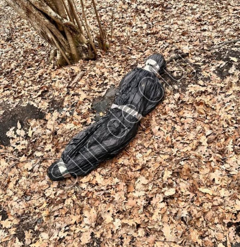 Ce era, de fapt, împachetat în folia neagră