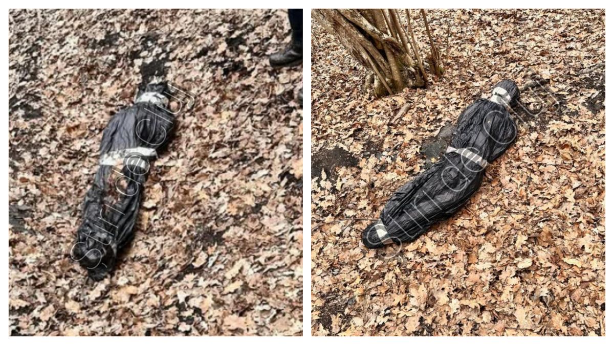 Descoperire macabră în Pădurea Hoia