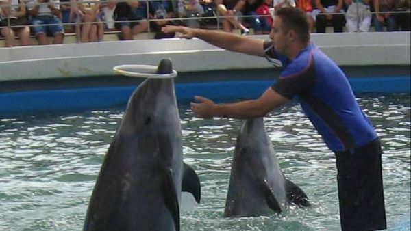 Tragedie la Delfinariul din Constanța: "Îți mulțumesc pentru că m-ai ajutat în această călătorie. O să-mi lipsești!”