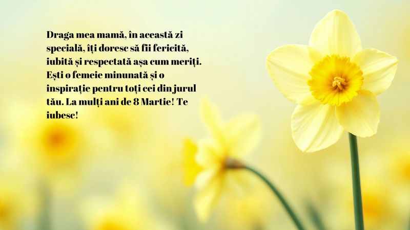 Cum îți poți surprinde mama de 8 Martie 2025? 