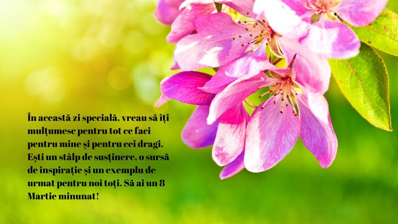 Iată mesajele care vor impresiona pe toată lumea de 8 Martie 2025